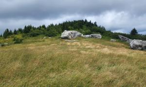 Spruce Knob