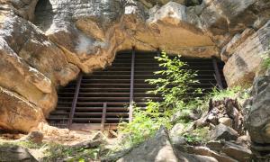Trout Cave