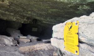 Trout Cave