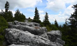 Dolly Sods