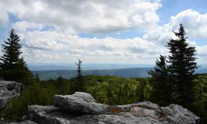 Dolly Sods