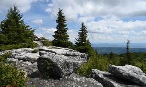Dolly Sods
