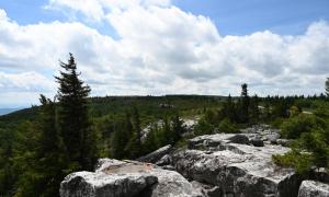 Dolly Sods