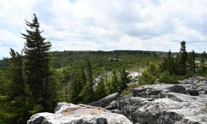 Dolly Sods