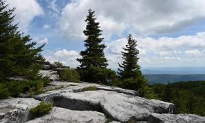 Dolly Sods