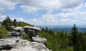 Dolly Sods