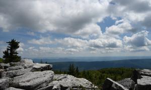 Dolly Sods