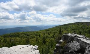 Dolly Sods