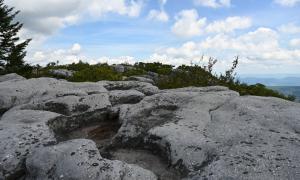 Dolly Sods