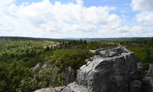 Dolly Sods