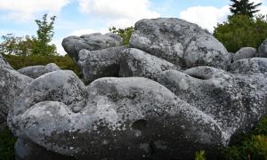 Dolly Sods