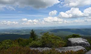 Dolly Sods